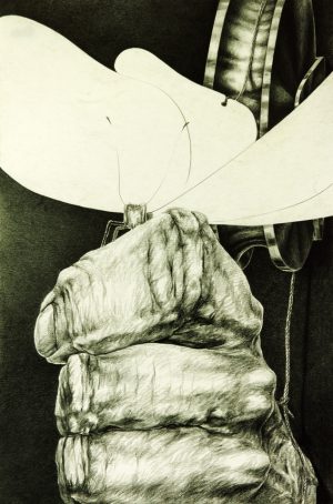 1978_aufstrebend_1; Bleistift auf Papier; 49 x 32 cm